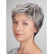 Cropped Monofilament Synthetic Straight Ladies Wigs