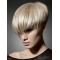 Nice Straight Boycuts Blonde Short Wigs