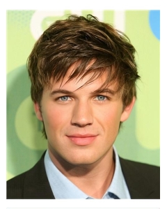 Fabulous Brown Straight Cropped Men Wigs