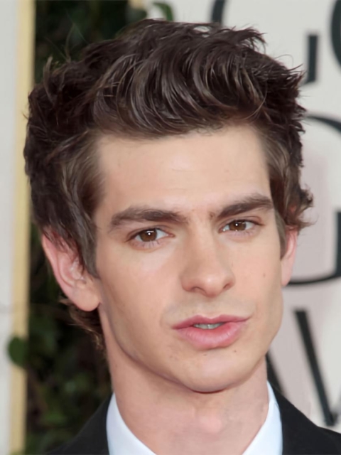 Modern Brown Wavy Cropped Men Wigs