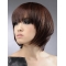 Convenient Auburn Straight Chin Length Human Hair Wigs