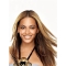 24'' Amazing Brown Straight Without Bangs Full Lace Long Synthetic Women Beyonce Wigs