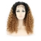 Amazing 22 Inch long Curly Style Lace Front 100% Remy Hair Ombre Wigs