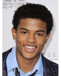 Perfect Black Curly Short Men Wigs