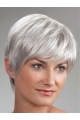 Short Monofilament Synthetic Straight Best Wigs For Elderly Lady
