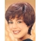 Synthetic Short Straight Brown Trendy Classic Wigs