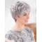 8" Short Straight Fashion Lace Front Grey Wigs