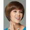 Unique Brown Straight Short Capless Synthetic Women Wigs