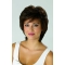 Brown Stylish Straight Short With Bangs Capless Synthetic Women Wigs