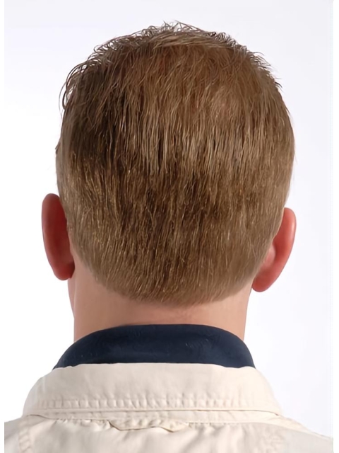 Style Blonde Wavy Short Monofilament Human Hair Men Wigs