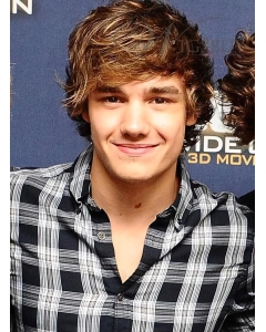 Natural Brown Wavy Short Capless Human Hair Men Wigs