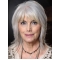 Silver Shoulder Length Straight  Layered Lace Front Synthetic Lady Wigs