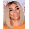 Lace Front Shoulder Length  Straight Grey Synthetic Bobs Wendy Williams Wigs